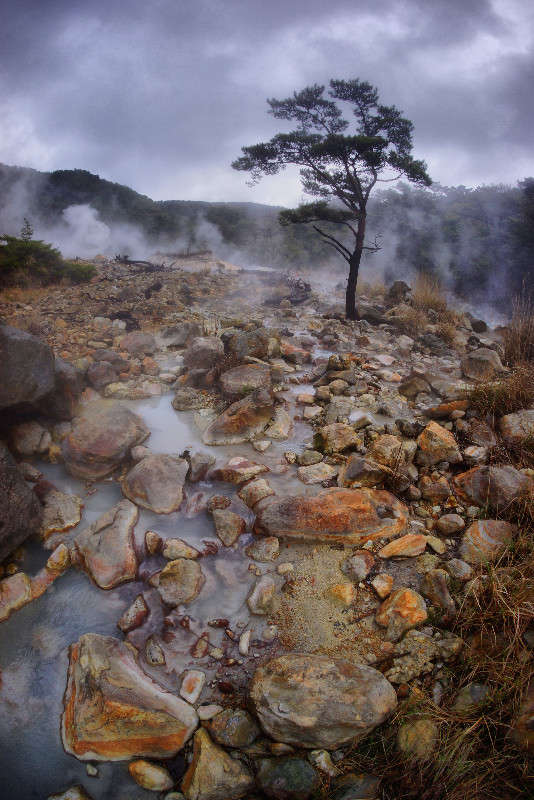 istochnik ����� Yaroslava Hamamoto �� PhotoGeek.ru #������ ��� ������� #���������