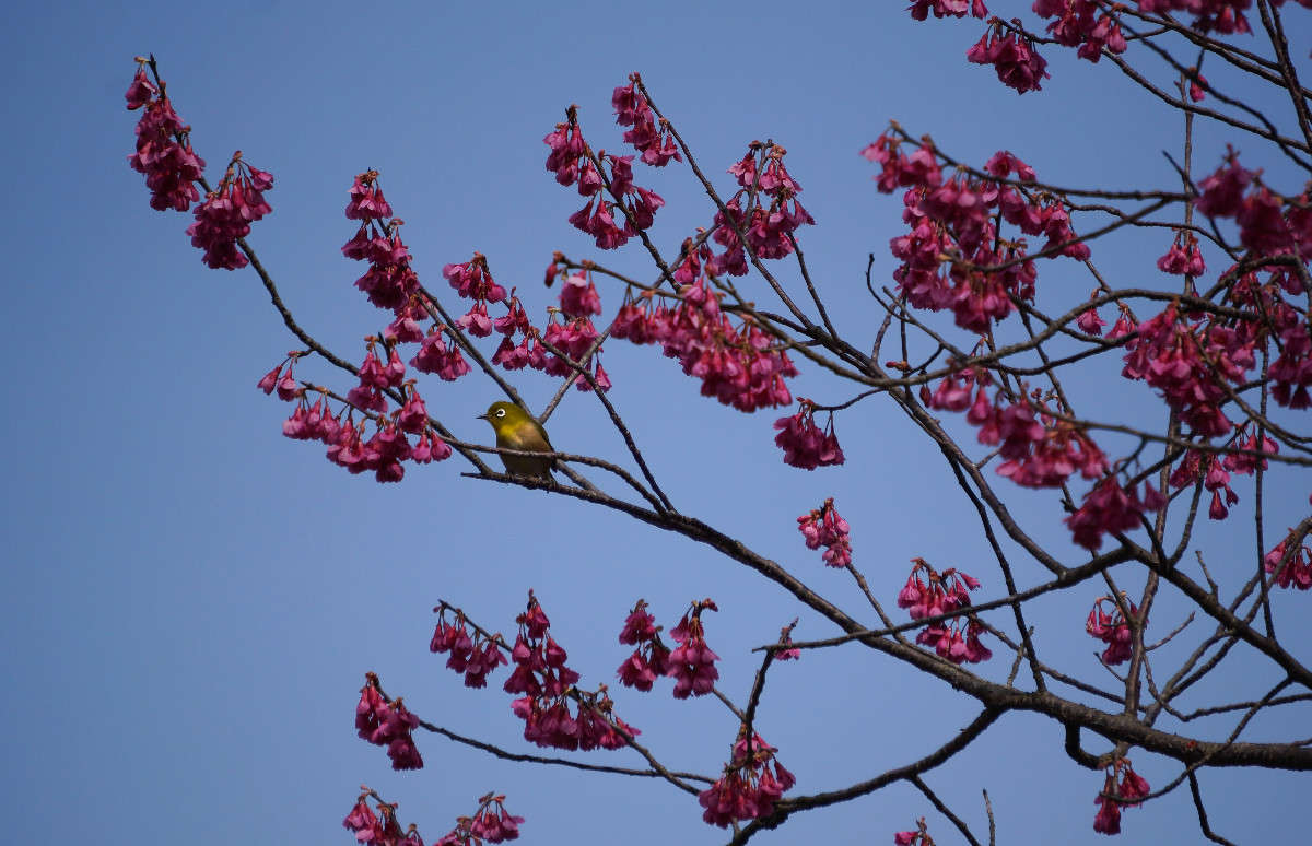 ... ����� Yaroslava Hamamoto �� PhotoGeek.ru #������ ��� ������� #���������