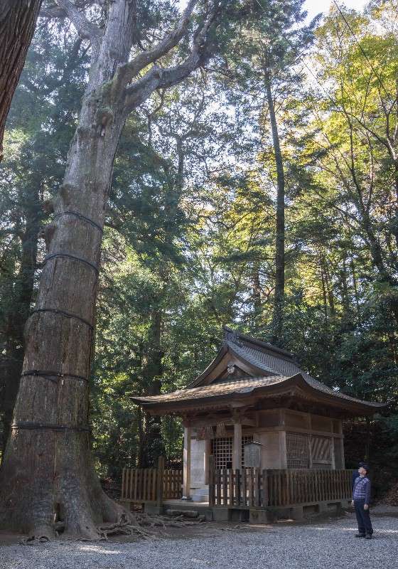 ... ����� Yaroslava Hamamoto �� PhotoGeek.ru #������ ��� ������� #�������� ����������