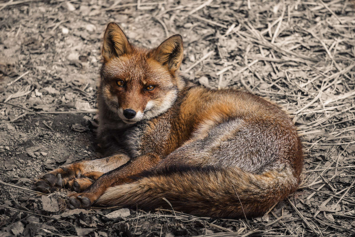 ������� ����� Yaroslava Hamamoto �� PhotoGeek.ru #�������� ���