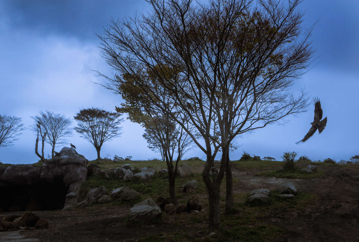 ... ����� Yaroslava Hamamoto �� PhotoGeek.ru #������ ��� �������