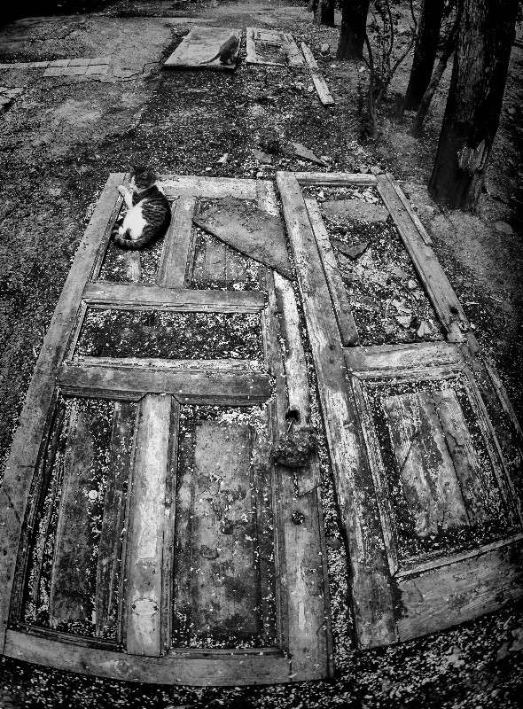 ... ����� Yaroslava Hamamoto �� PhotoGeek.ru #�������� ��� #�����-�����