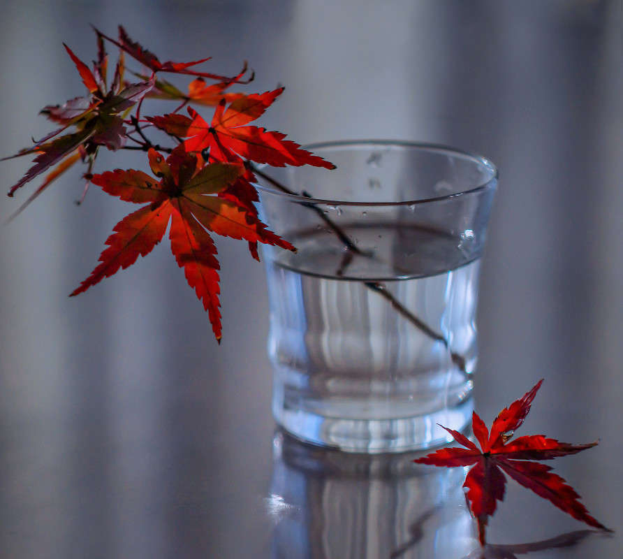 ... ����� Yaroslava Hamamoto �� PhotoGeek.ru #���������