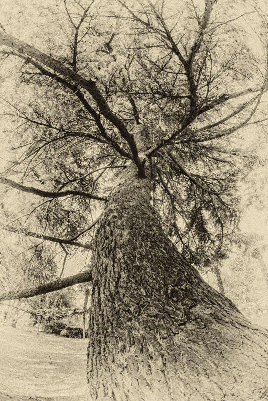 ... ����� Yaroslava Hamamoto �� PhotoGeek.ru #������ ��� ������� #����� �������������� #���������