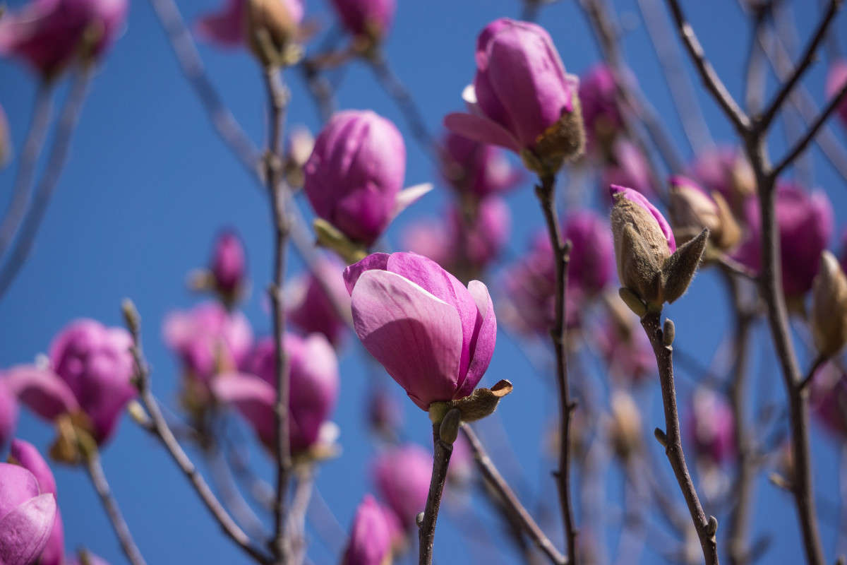 ... ����� Yaroslava Hamamoto �� PhotoGeek.ru #������ ��� ������� #����� ��������������