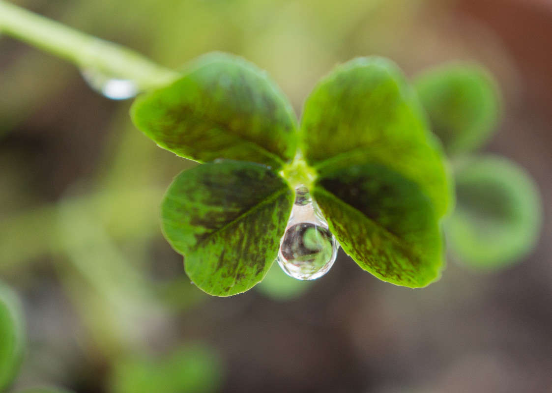 �� �������. ����� Yaroslava Hamamoto �� PhotoGeek.ru #����� #E30macro