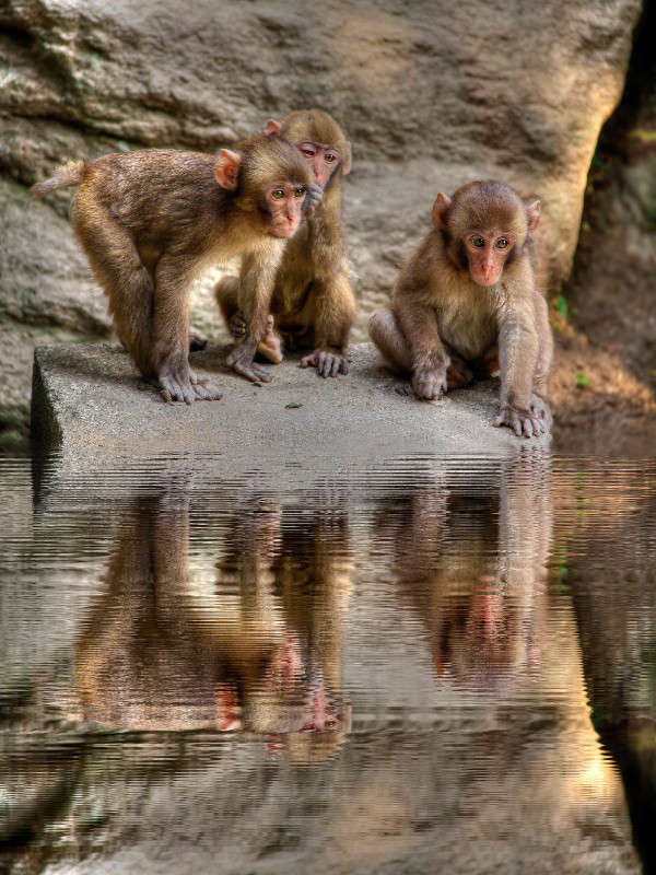 ... ����� Yaroslava Hamamoto �� PhotoGeek.ru #�������� ���