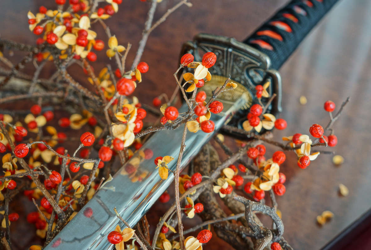 ����������� ��� ����� Yaroslava Hamamoto �� PhotoGeek.ru #���������