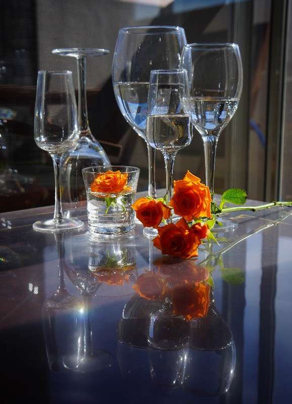 ���������� ��������� ����� Yaroslava Hamamoto �� PhotoGeek.ru #���������