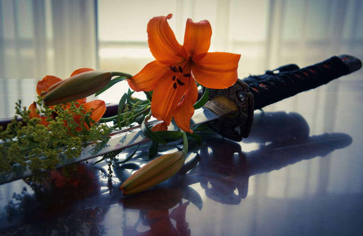 ... ����� Yaroslava Hamamoto �� PhotoGeek.ru #���������