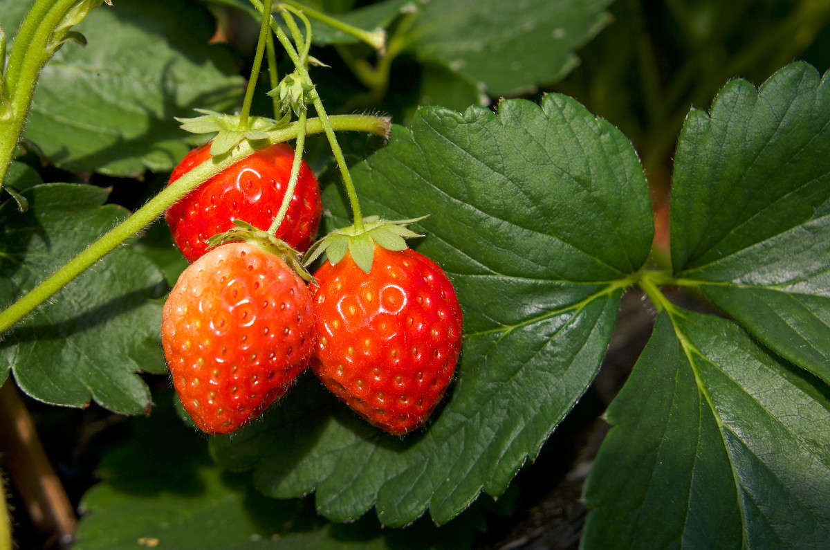 ... ����� Yaroslava Hamamoto �� PhotoGeek.ru #������ ��� ������� #����� ��������������