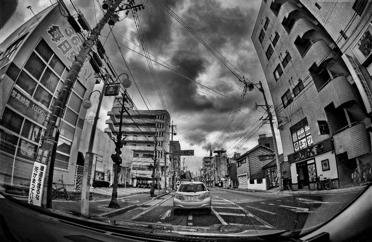 drive ����� Yaroslava Hamamoto �� PhotoGeek.ru #����� #E16+fish