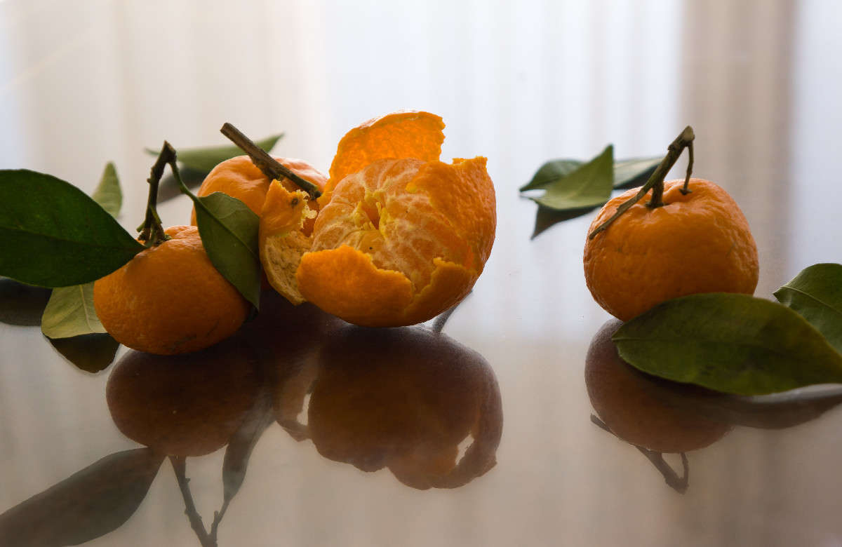 ... ����� Yaroslava Hamamoto �� PhotoGeek.ru #���������