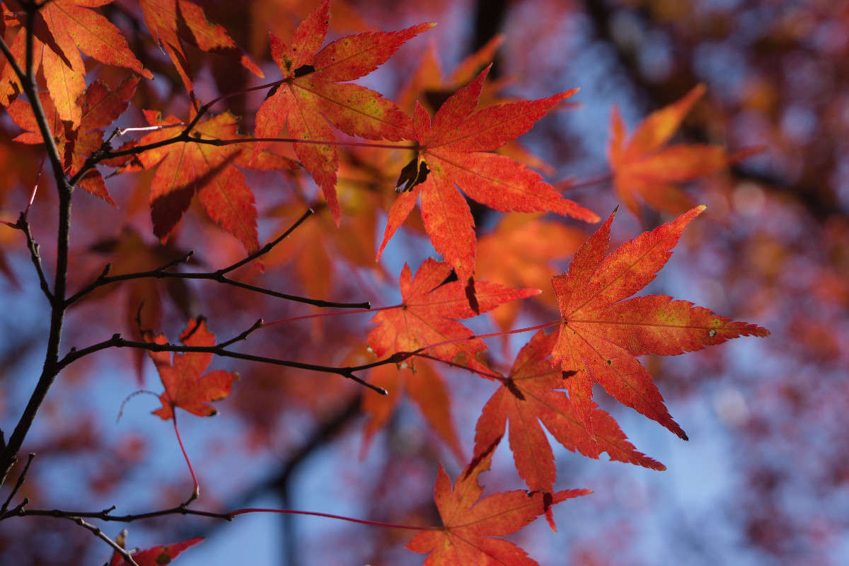 ��� ����� Yaroslava Hamamoto �� PhotoGeek.ru #������ ��� ������� #����� ��������������