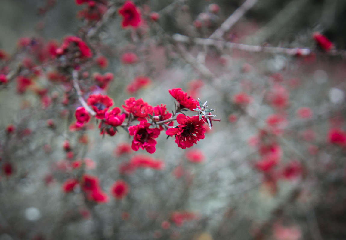 ... ����� Yaroslava Hamamoto �� PhotoGeek.ru #������ ��� ������� #����� ��������������