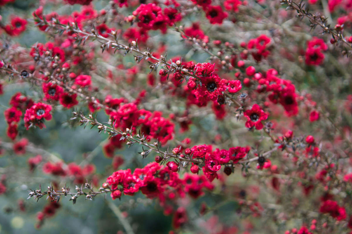 ... ����� Yaroslava Hamamoto �� PhotoGeek.ru #������ ��� ������� #����� ��������������