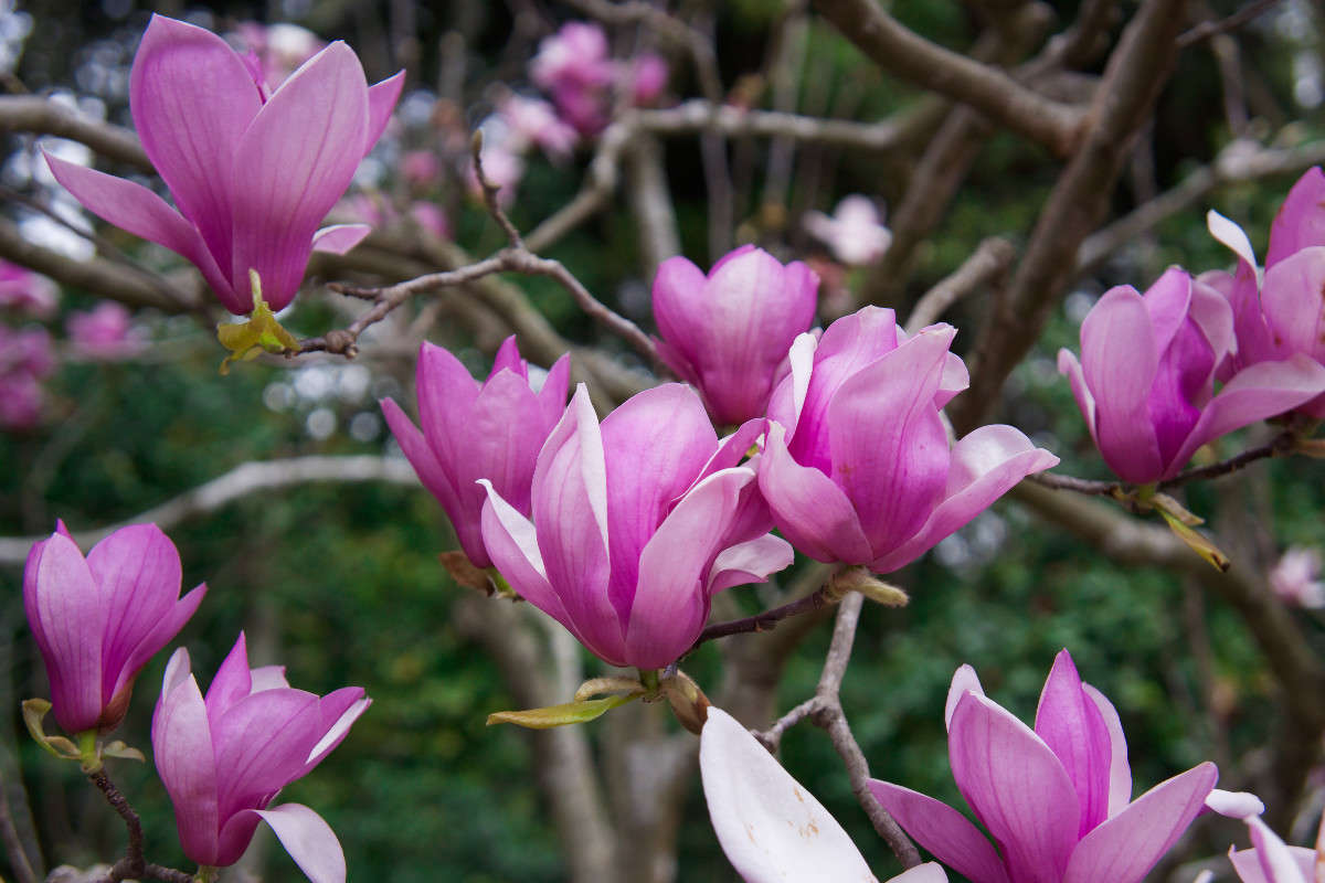 ... ����� Yaroslava Hamamoto �� PhotoGeek.ru #������ ��� ������� #����� ��������������