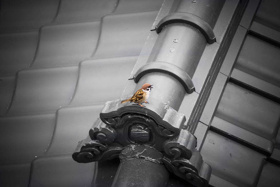 ... ����� Yaroslava Hamamoto �� PhotoGeek.ru #������ ��� ������� #����� ��������