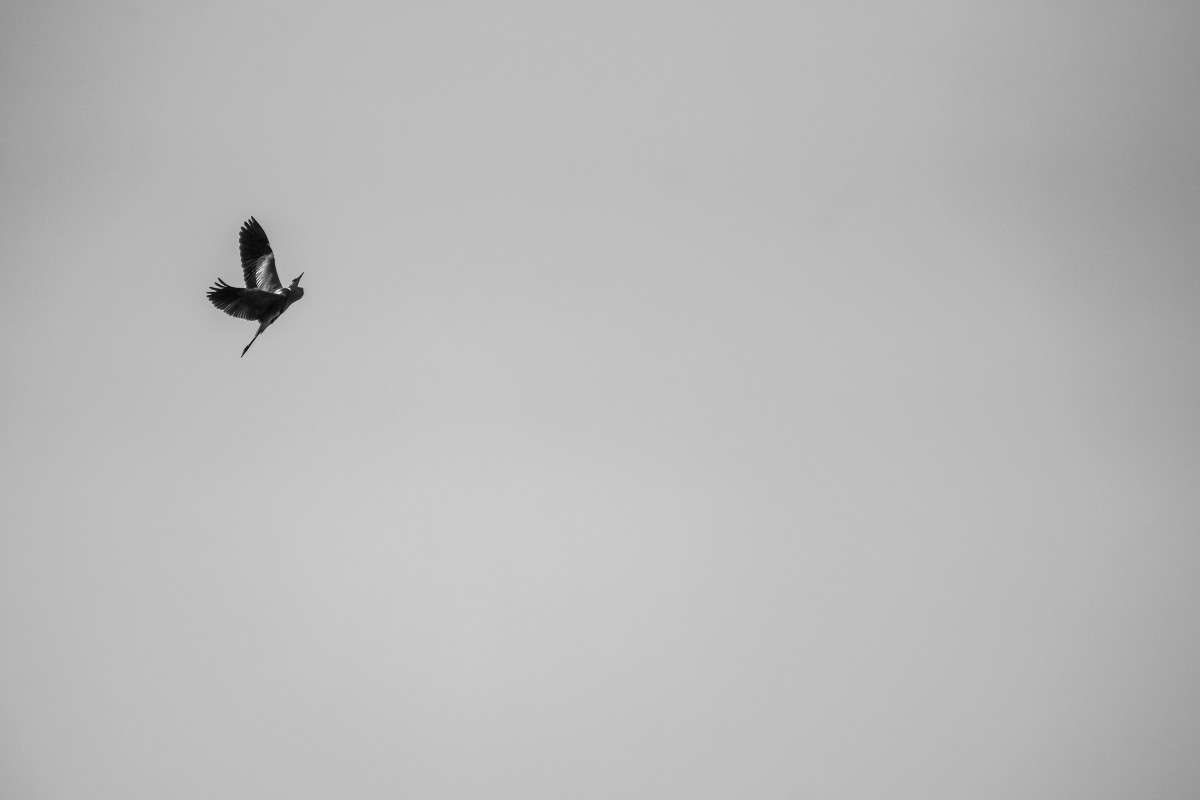 ... ����� Yaroslava Hamamoto �� PhotoGeek.ru #�������� ��� #����� ��� ��� ���������