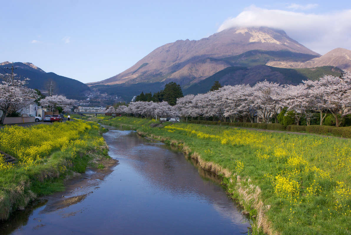 ����� ����� Yaroslava Hamamoto �� PhotoGeek.ru #������ ��� �������