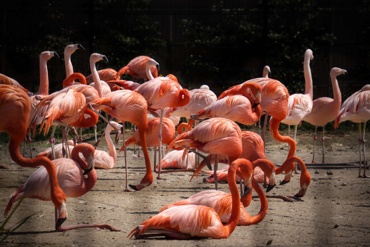 ... ����� Yaroslava Hamamoto �� PhotoGeek.ru #�������� ���