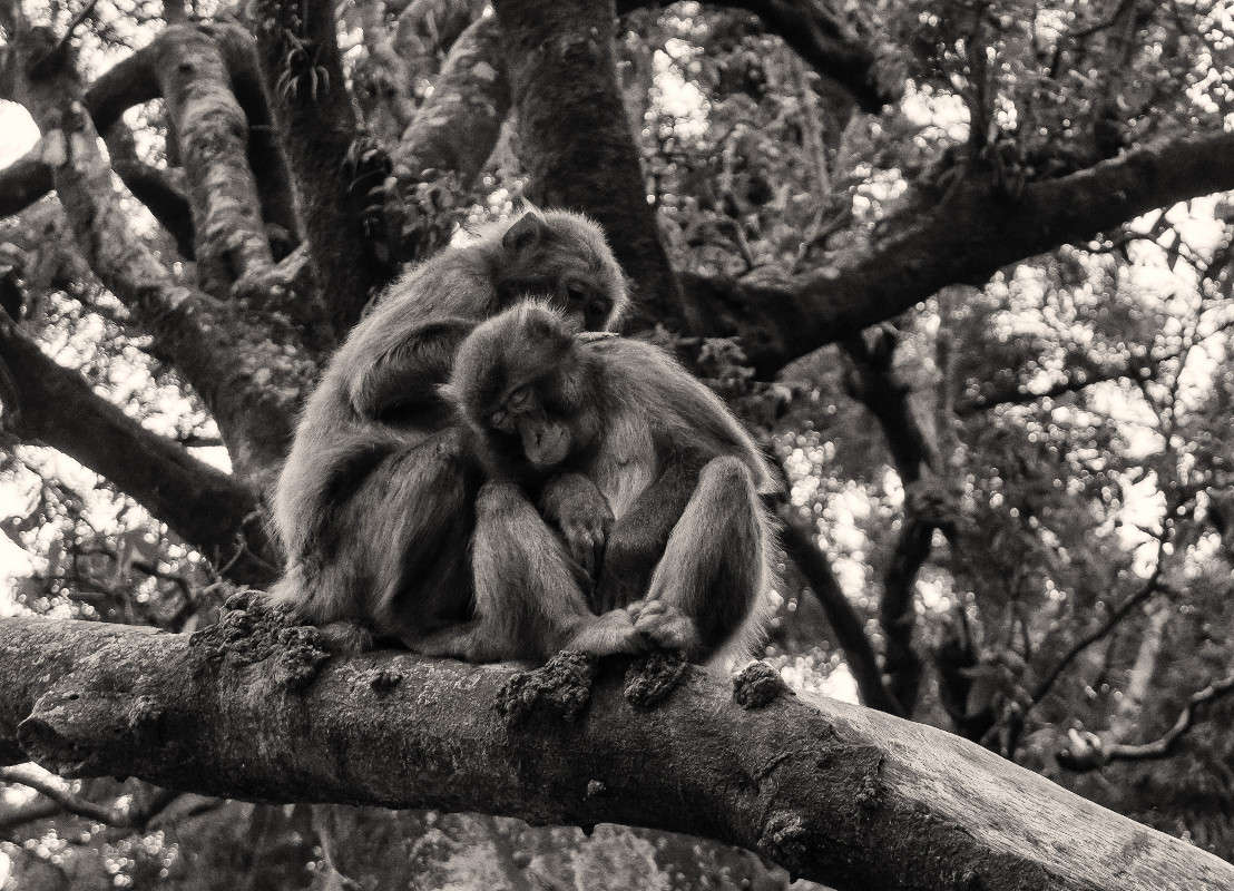 relax ����� Yaroslava Hamamoto �� PhotoGeek.ru #�������� ���