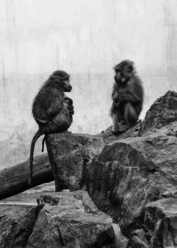 �������� ����� ����� Yaroslava Hamamoto �� PhotoGeek.ru #�������� ���