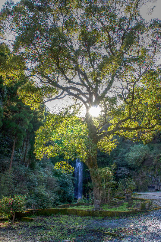 ... ����� Yaroslava Hamamoto �� PhotoGeek.ru #������ ��� �������