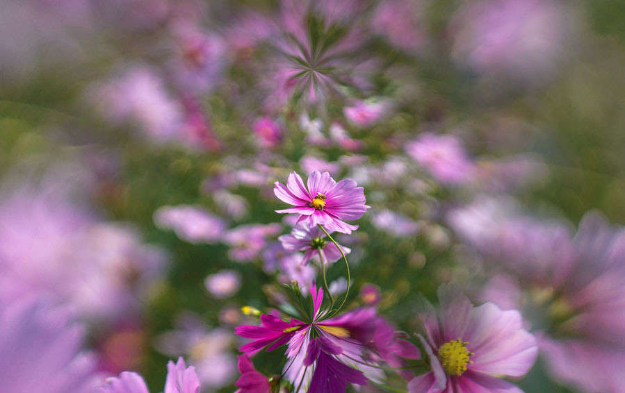 ... ����� Yaroslava Hamamoto �� PhotoGeek.ru #������ ��� ������� #����� ��������������