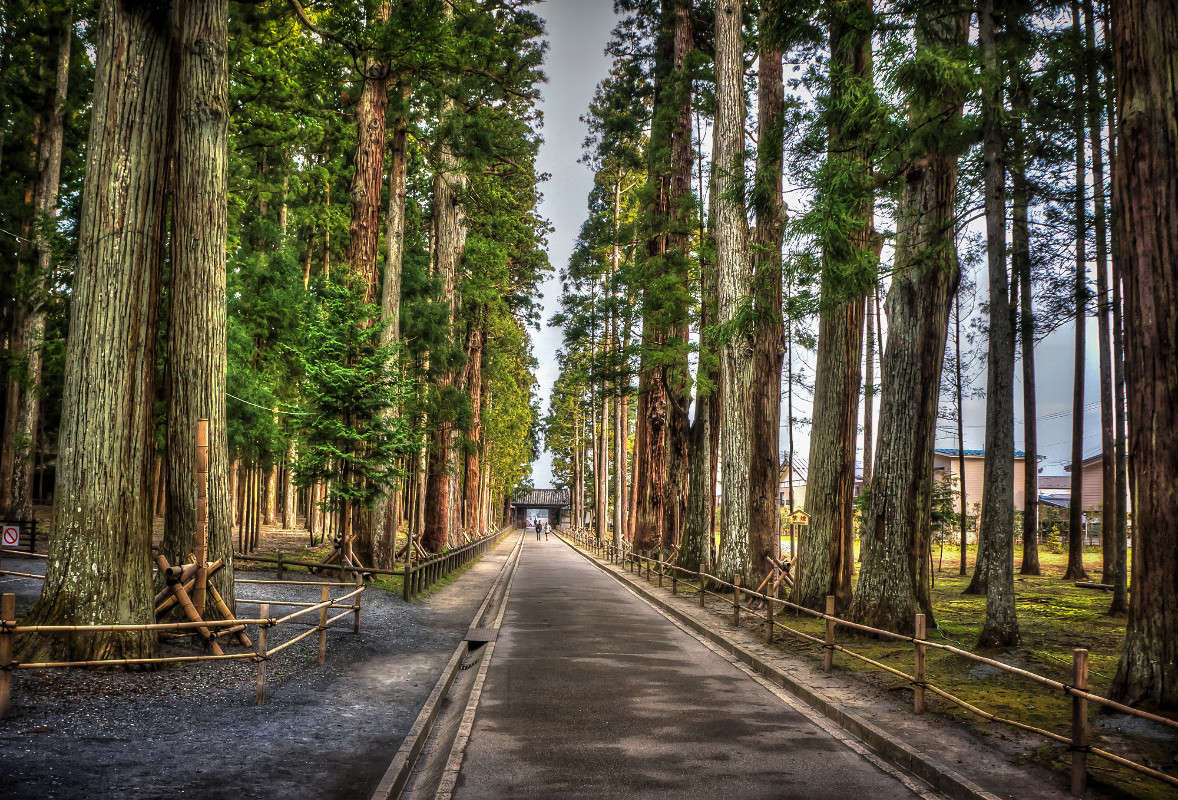 ... ����� Yaroslava Hamamoto �� PhotoGeek.ru #������ ��� �������