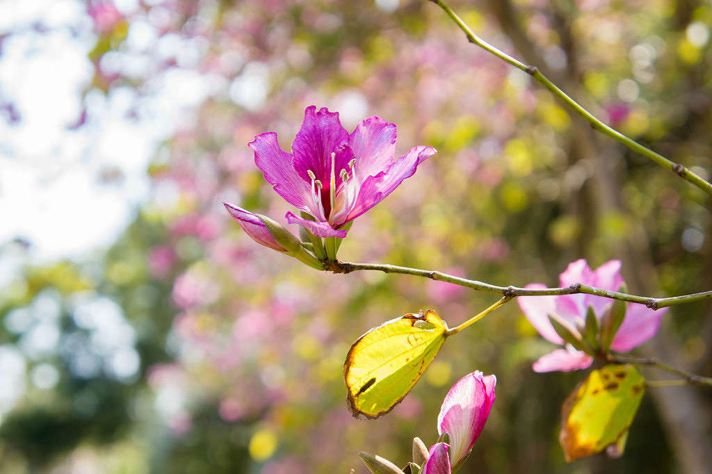 ... ����� Yaroslava Hamamoto �� PhotoGeek.ru #������ ��� ������� #����� ��������������