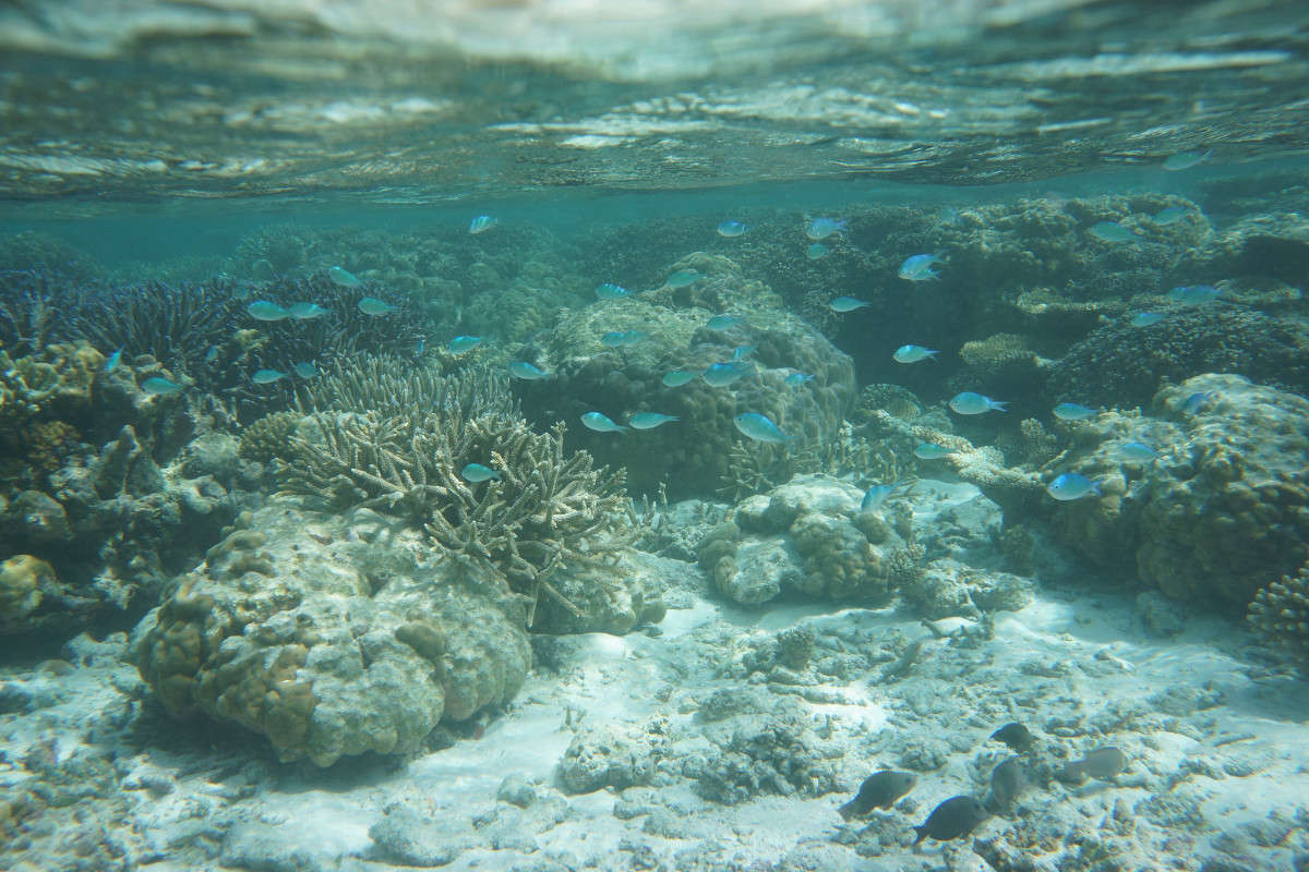 ... ����� Yaroslava Hamamoto �� PhotoGeek.ru #������ ��� ������� #����� ��������