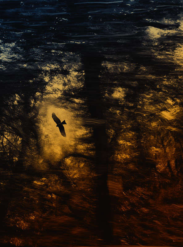 ������ ���� ����� Yaroslava Hamamoto �� PhotoGeek.ru #������