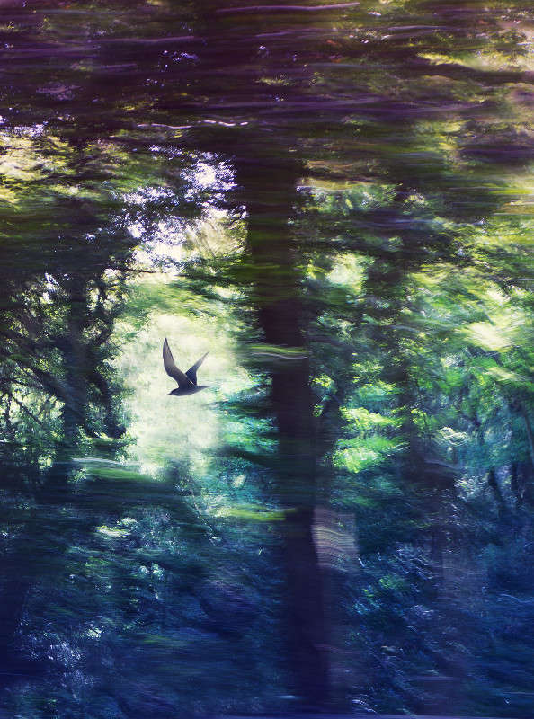 ... ����� Yaroslava Hamamoto �� PhotoGeek.ru #������