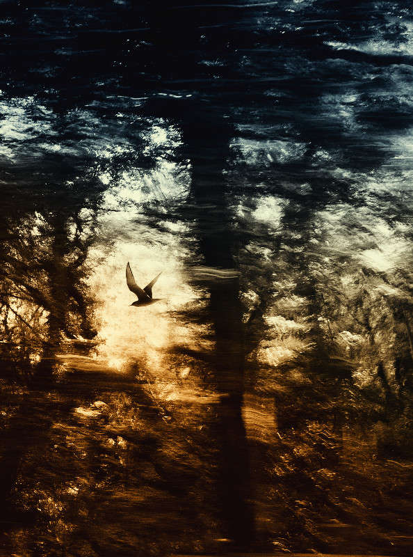 ����������� ����� Yaroslava Hamamoto �� PhotoGeek.ru #������