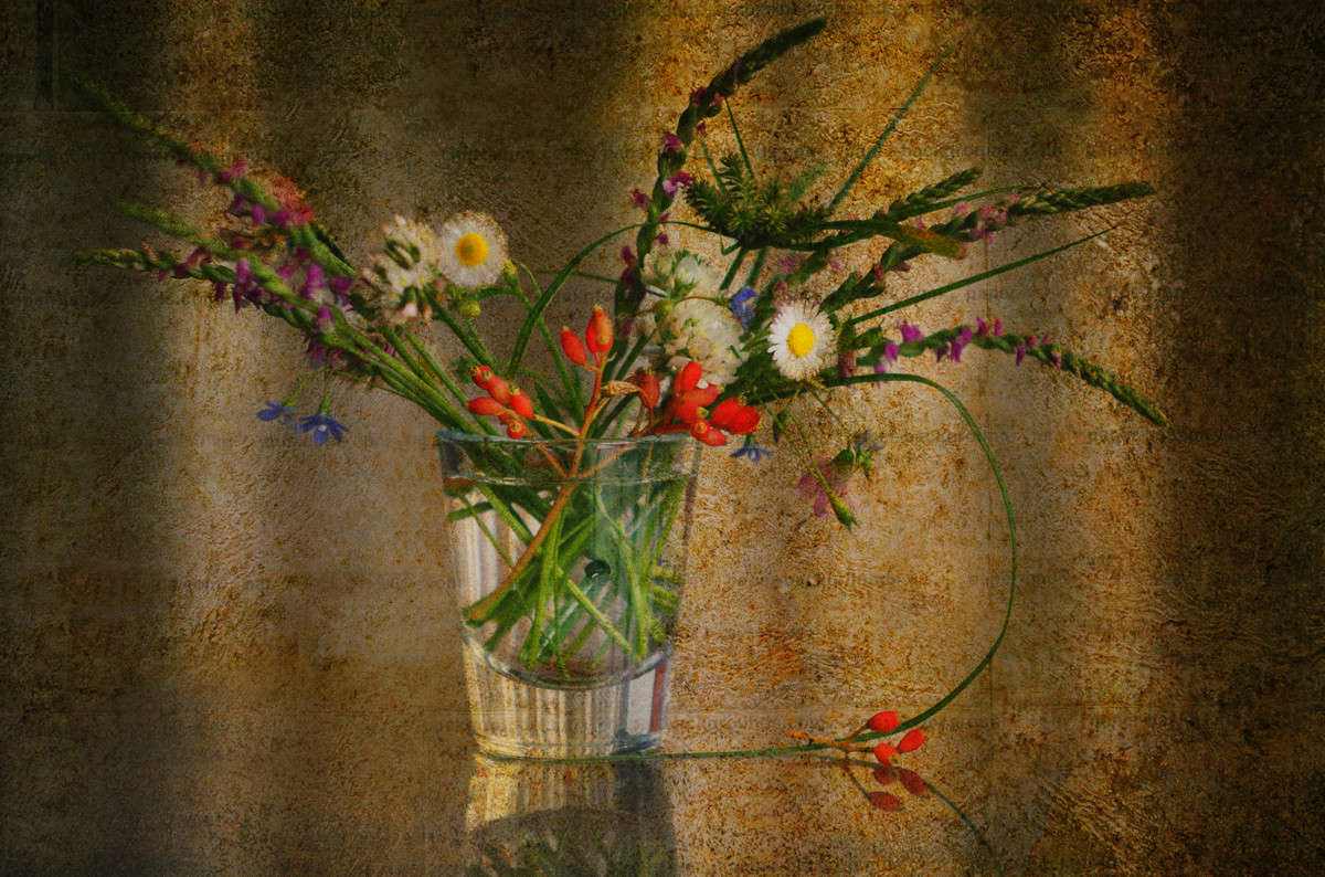 ... ����� Yaroslava Hamamoto �� PhotoGeek.ru #���������