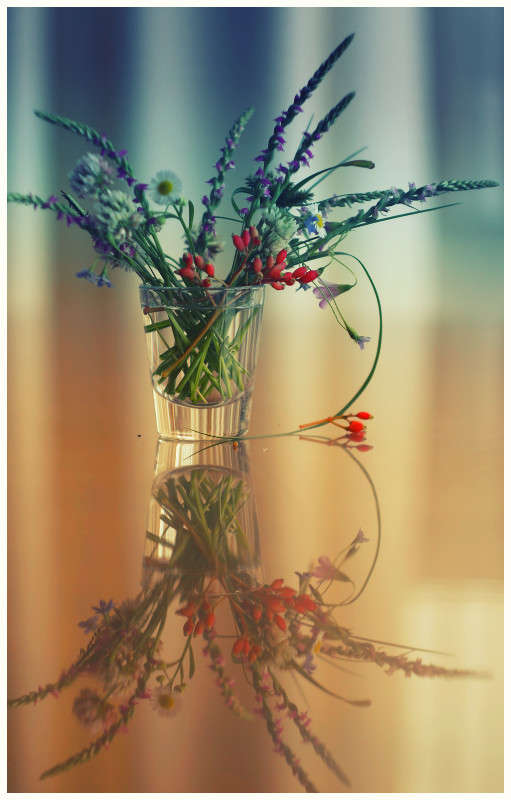 ... ����� Yaroslava Hamamoto �� PhotoGeek.ru #���������