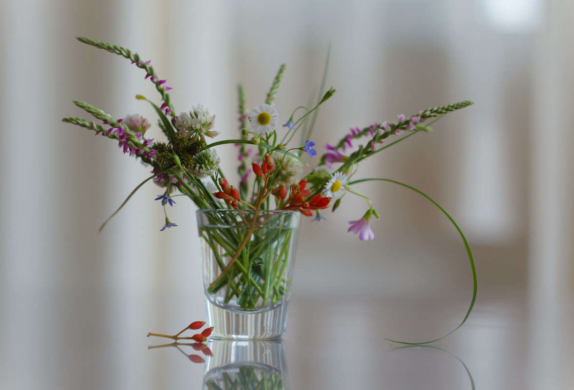 ... ����� Yaroslava Hamamoto �� PhotoGeek.ru #���������