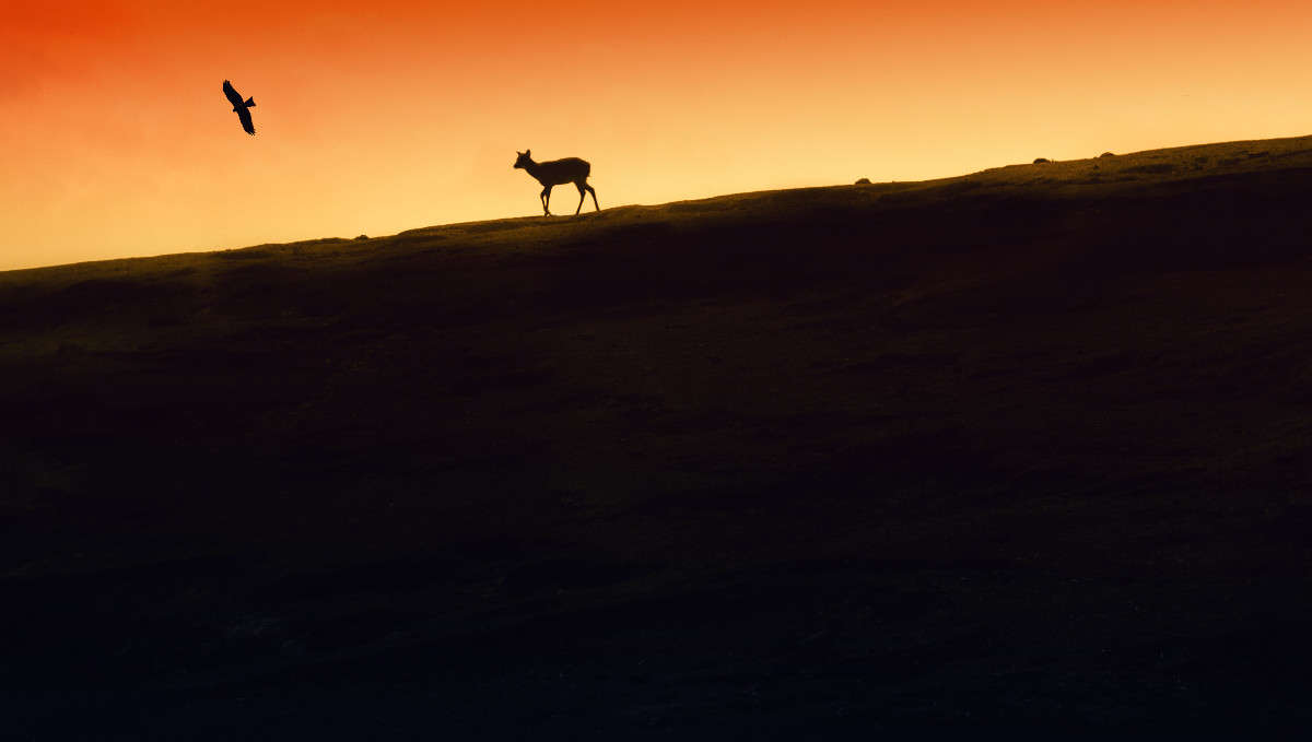 ����� ����� Yaroslava Hamamoto �� PhotoGeek.ru #�������� ���