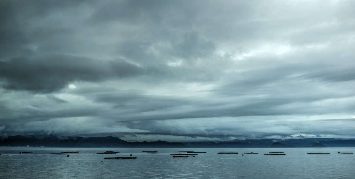 ... ����� Yaroslava Hamamoto �� PhotoGeek.ru #������ ��� �������