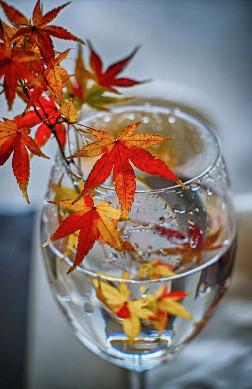 ������ ����� ����� Yaroslava Hamamoto �� PhotoGeek.ru #�����