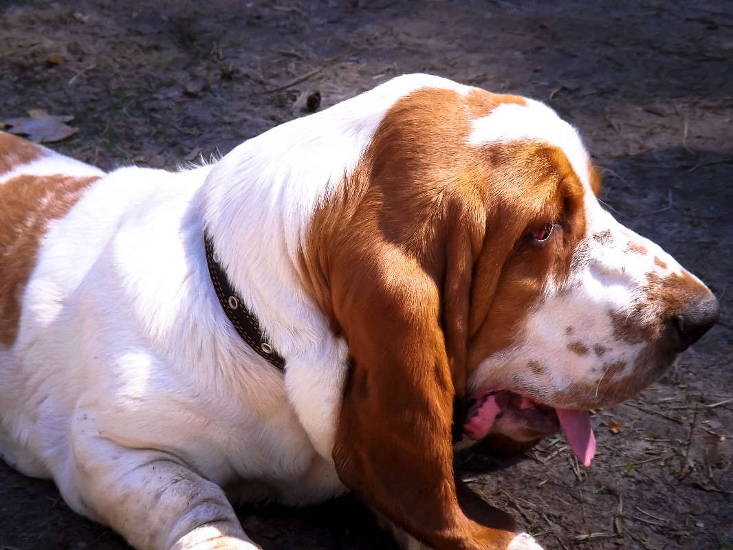 ��� ����� ������� ������� �� PhotoGeek.ru #�������� ��� #�������� ���