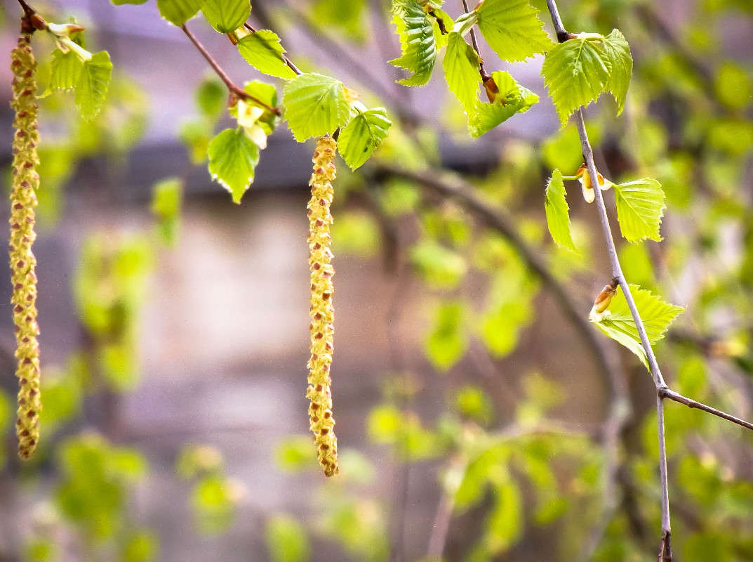 ������� ����� ������� ������� �� PhotoGeek.ru #������ ��� �������