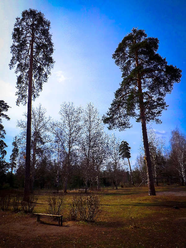 ������ ����� ������� ������� �� PhotoGeek.ru #������ ��� �������