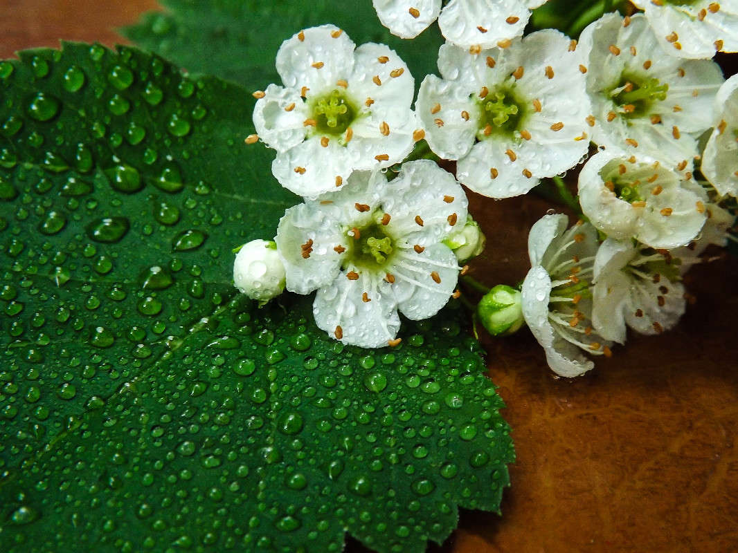 *** ����� ������� ������� �� PhotoGeek.ru #������ ��� �������