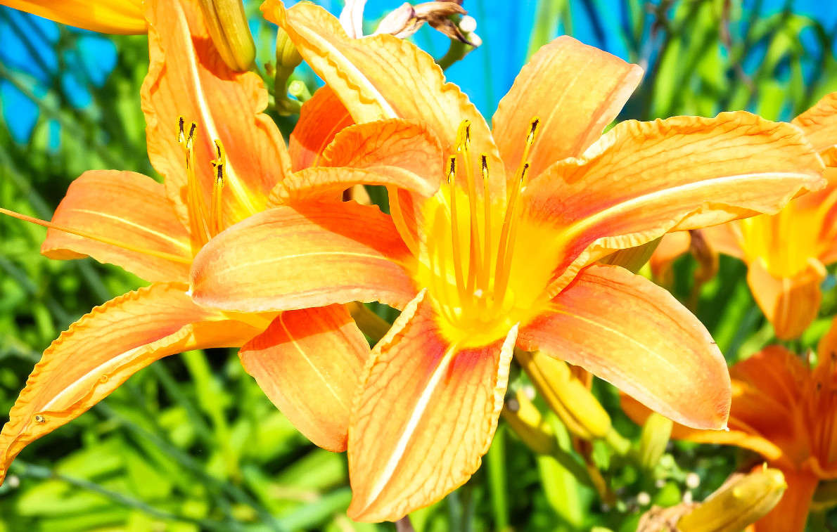 *** ����� ������� ������� �� PhotoGeek.ru #������ ��� ������� #����� ��������������