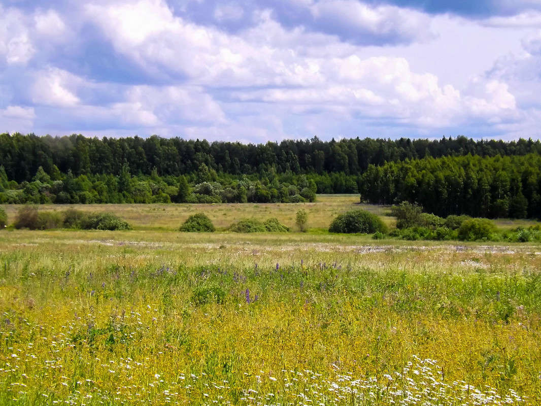 *** ����� ������� ������� �� PhotoGeek.ru #������ ��� �������