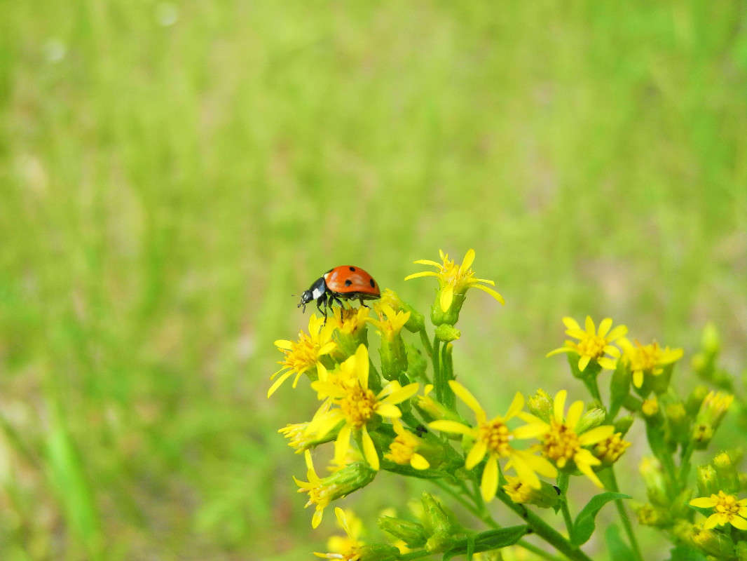 *** ����� ������� ������� �� PhotoGeek.ru #������ ��� ������� #����� ��������