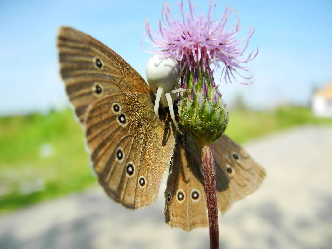 *** ����� ������� ������� �� PhotoGeek.ru #����� #����� �������������� #���������