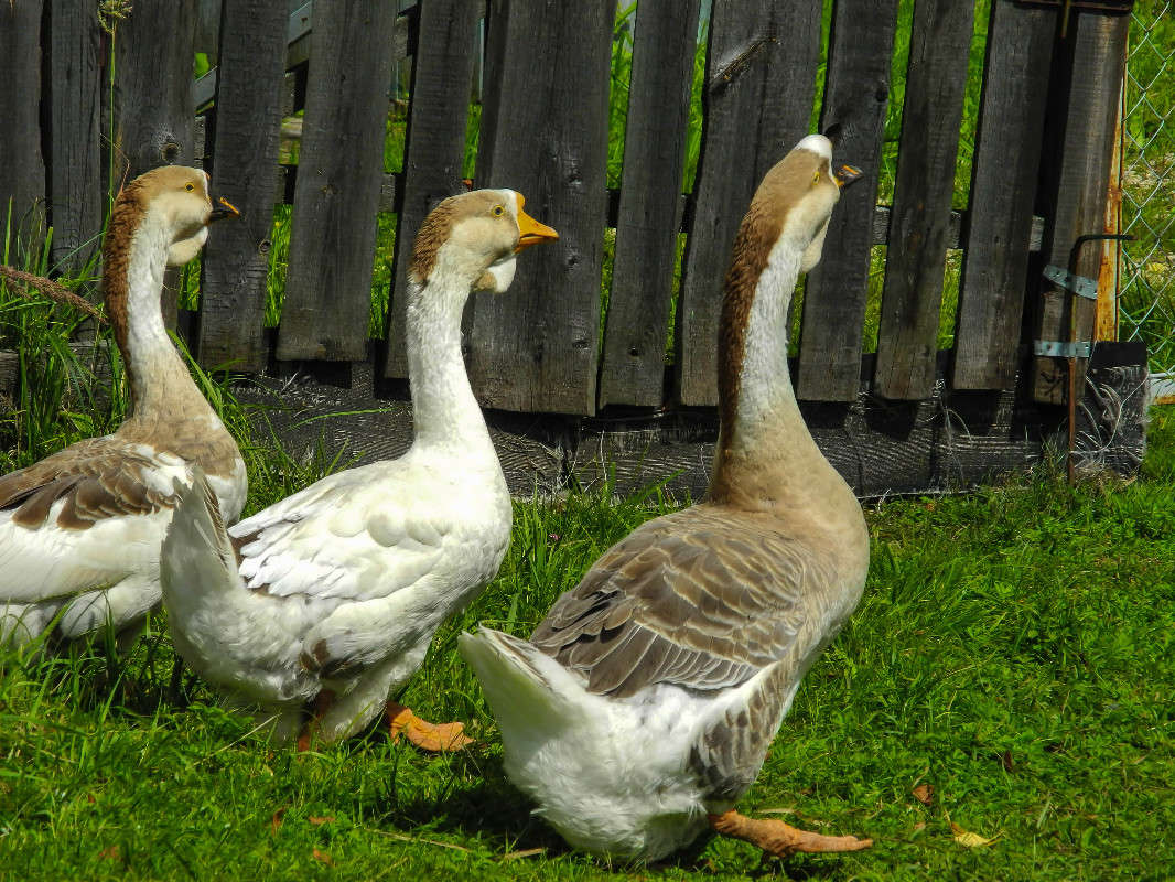 ��� , ��� , ���... ����� ������� ������� �� PhotoGeek.ru #�������� ��� #�������� ���